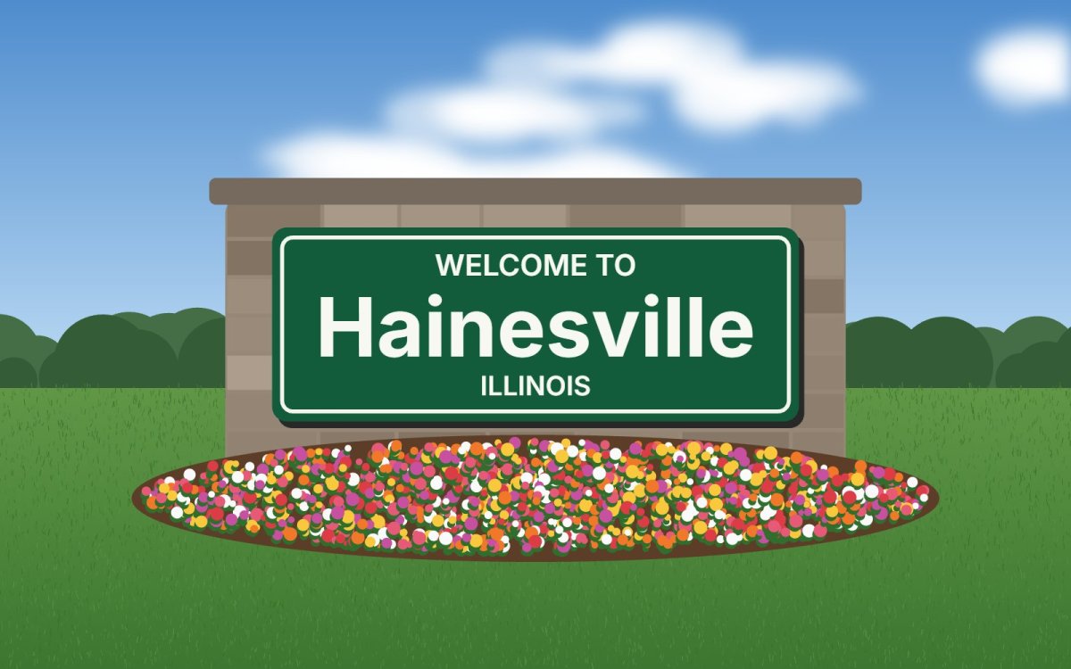 Selling a Home in Hainesville, Illinois: Why Professional Photography Matters